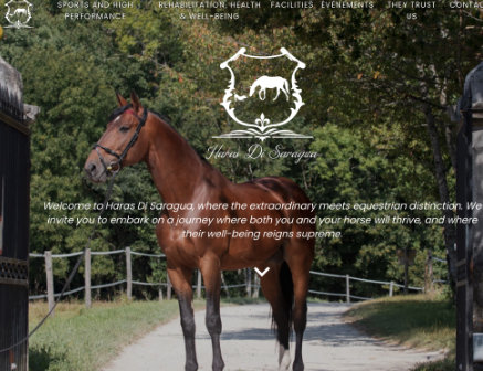 Website for a horse rehabilitation center